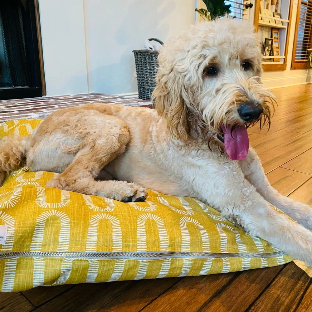 Large Dog Bed Cover. Fits Labs. Standard doodles, dogs up to 85lbs.